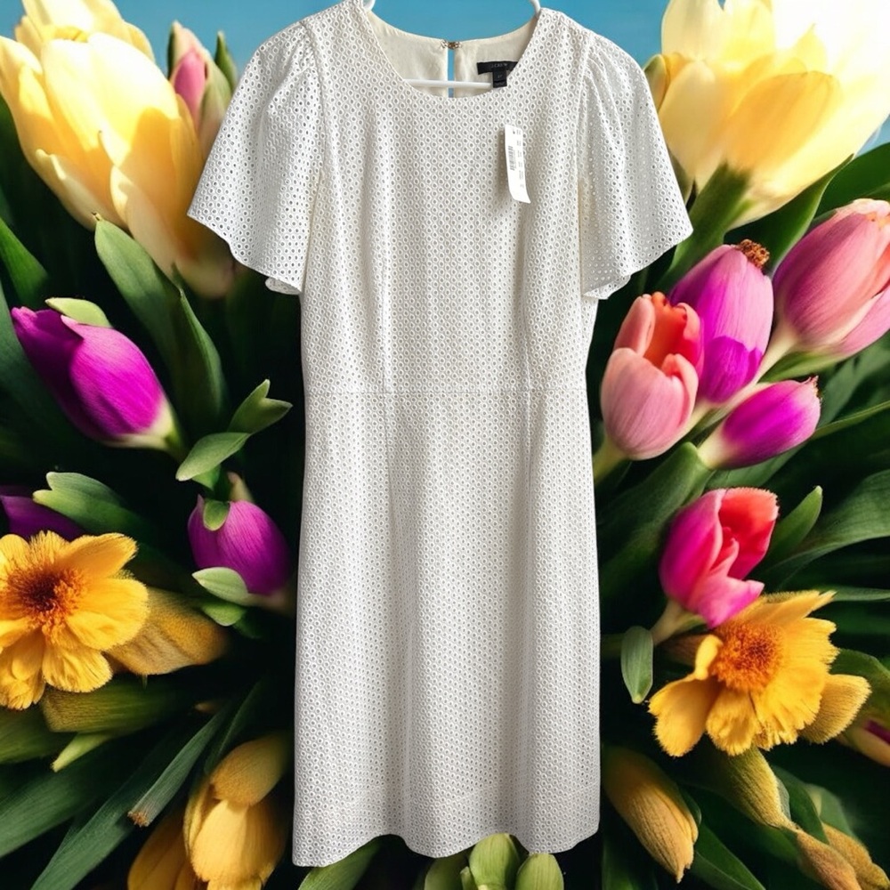 J. Crew Dress with Flutter Sleeves
